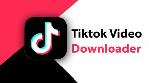 How To Choose The Right TikTok Downloader For Your Needs