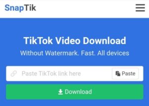 Snaptik For Beginners: Your Ultimate Tutorial For Video Downloading