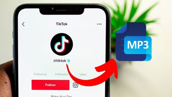 Ultimate TikTok Video DownloaExtracting Sound: The Best TikTok Audio Downloaders Reviewedders For IPhone Users In 2024