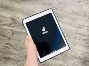 The Best TikTok Video Downloaders For IPad: A 2024 Selection